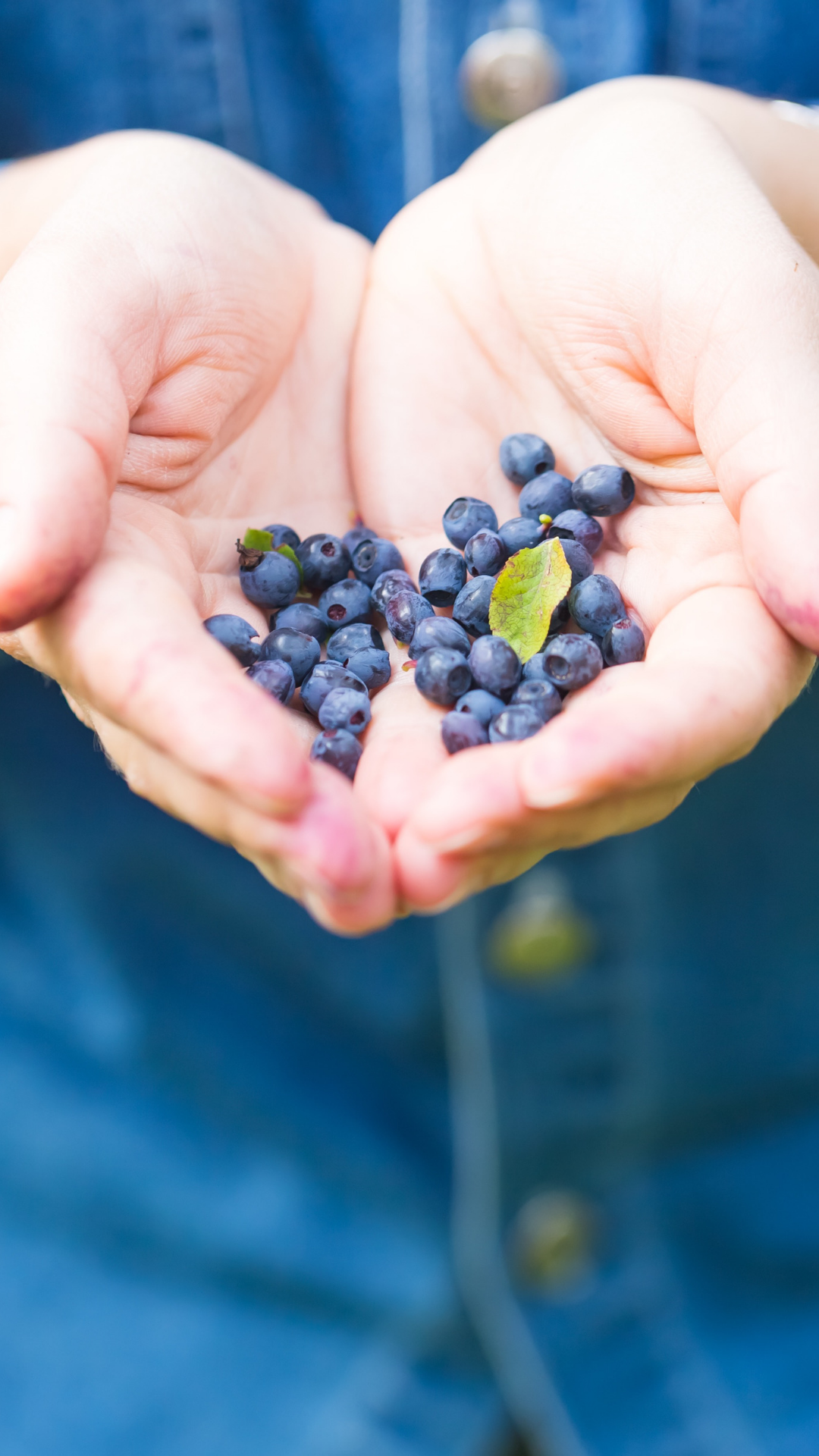 a handful of blueberries