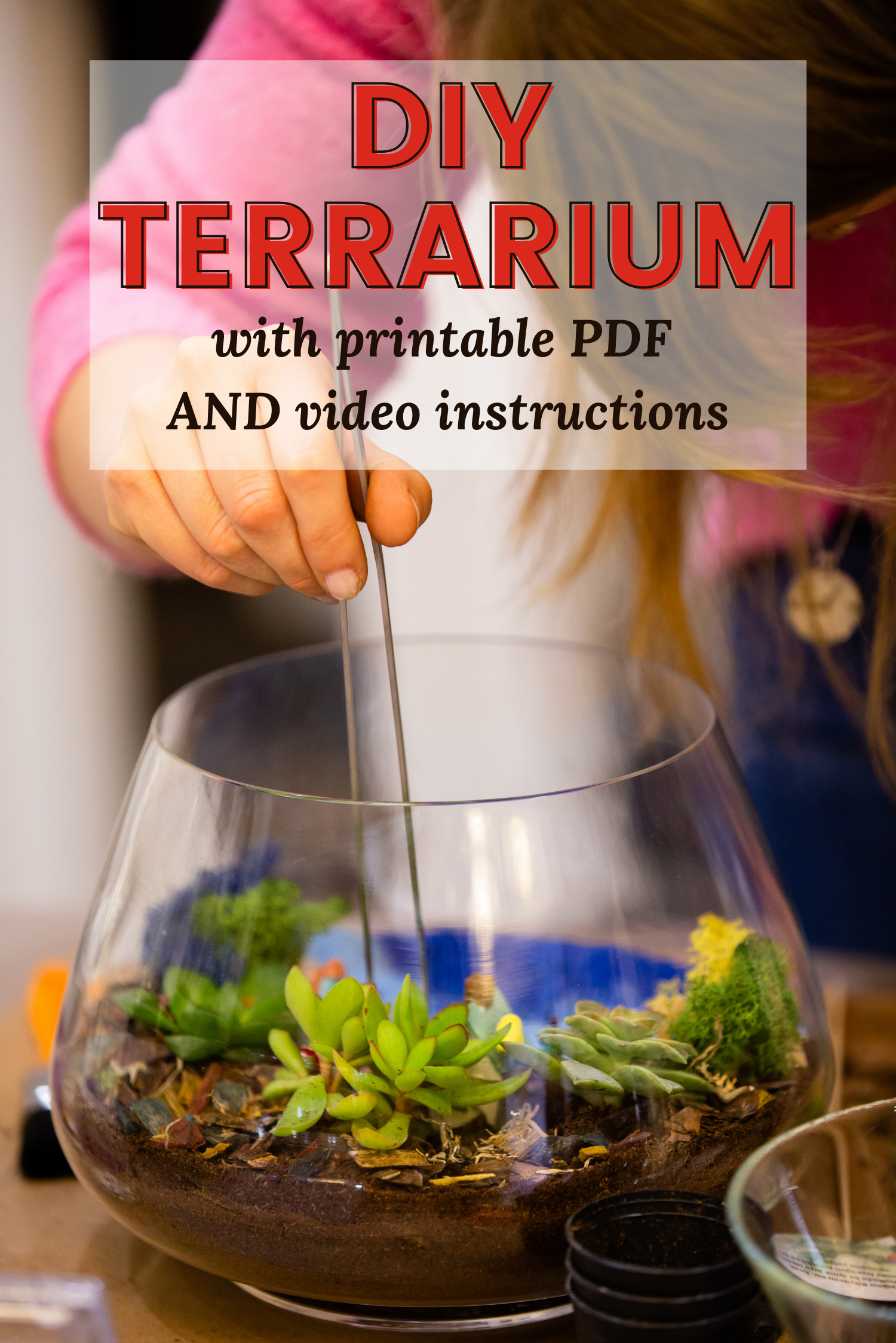 diy terrarium