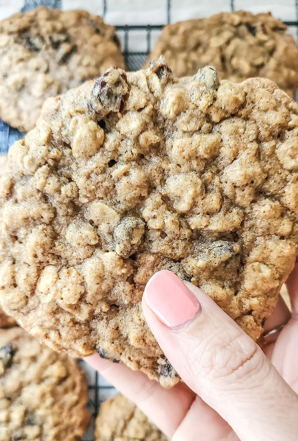 a big oatmeal raisin cookie. Chewy and crispy