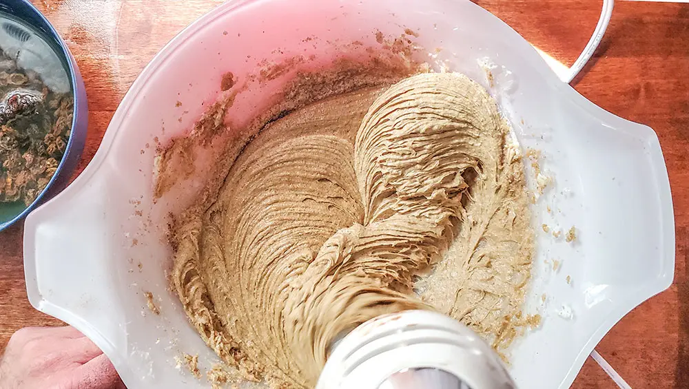 dough for Oatmeal Raisin cookies