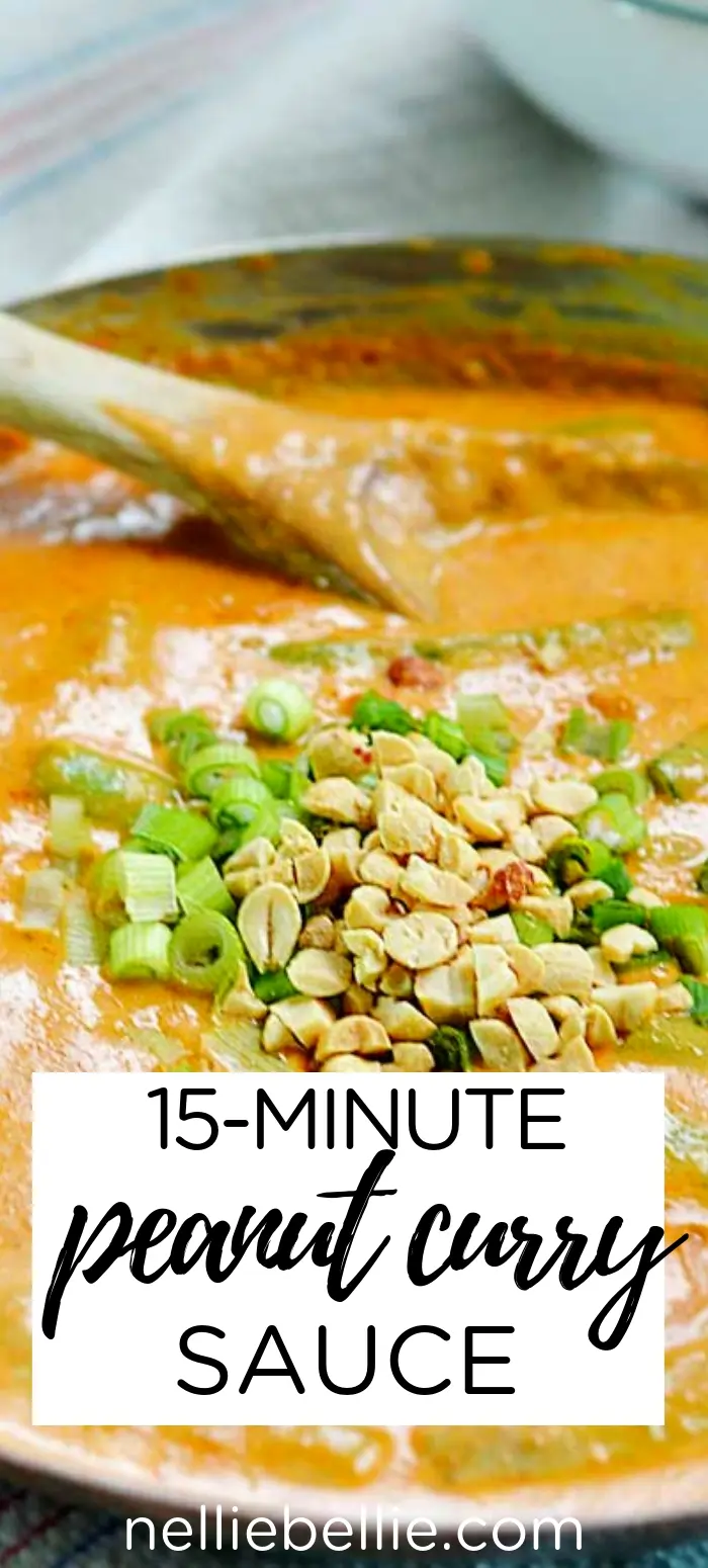 This peanut curry sauce is made up in only 15 minutes. A fantastic family dinner idea that is quick and easy! Add chicken or beef , if you like! #curry #peanut #dinneridea