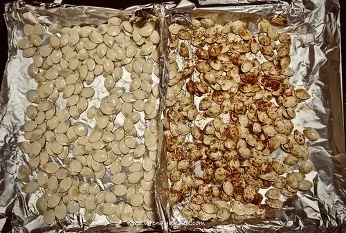 Pan of pumpkin seeds lined up to go into the oven