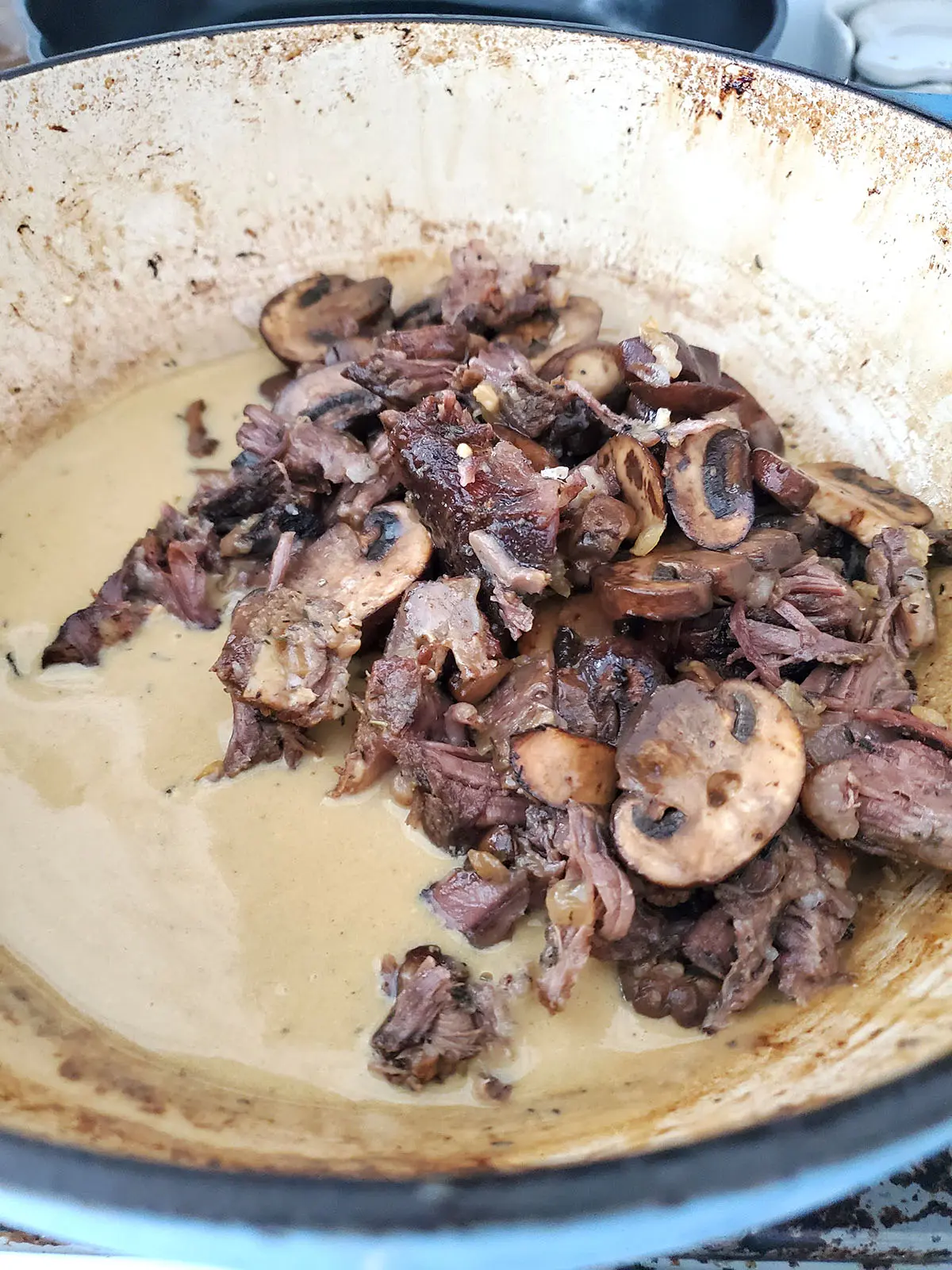 short ribs and mushrooms for stroganoff