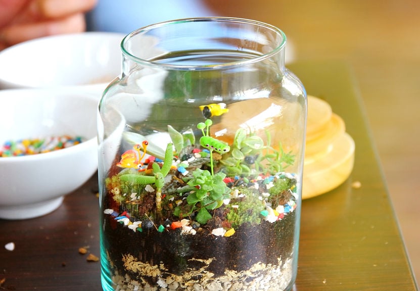 How to Make Terrariums in Jars