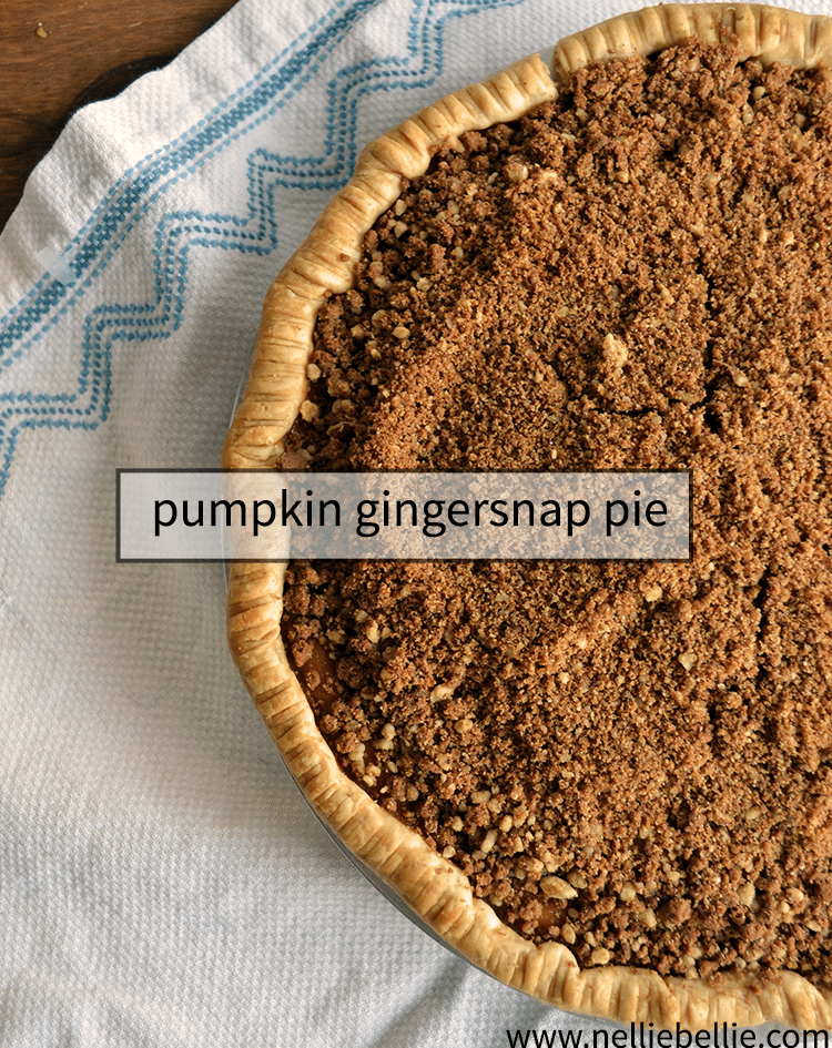 Pumpkin Pie With Gingersnap Pecan Topping Recipe pumpkin-pie-with-gingersnap-pecan-topping-recipe