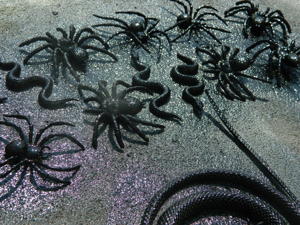 Creepy Crawly Wreath