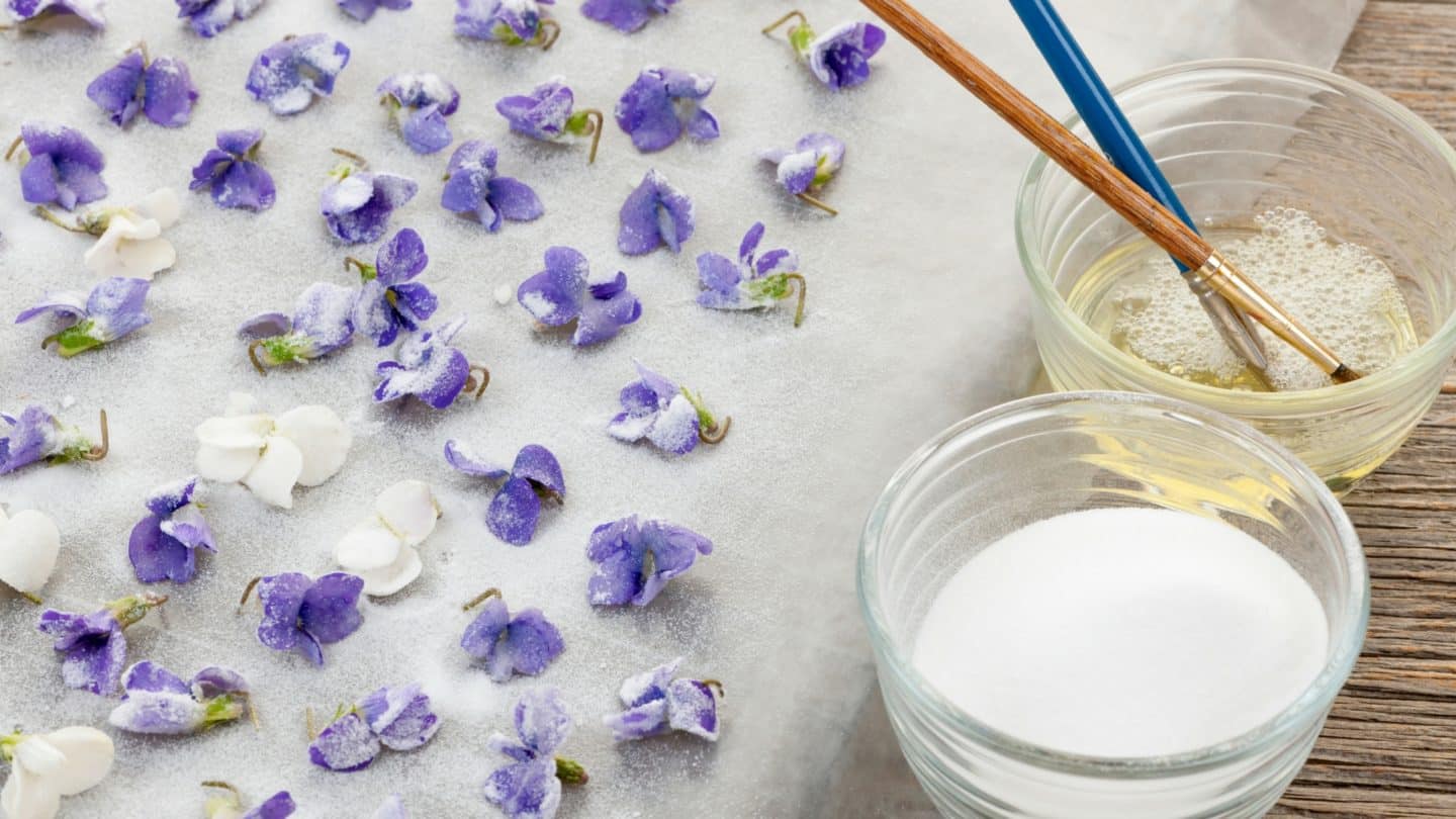 Candied Flower Petals (sugared flowers) with no egg whites!