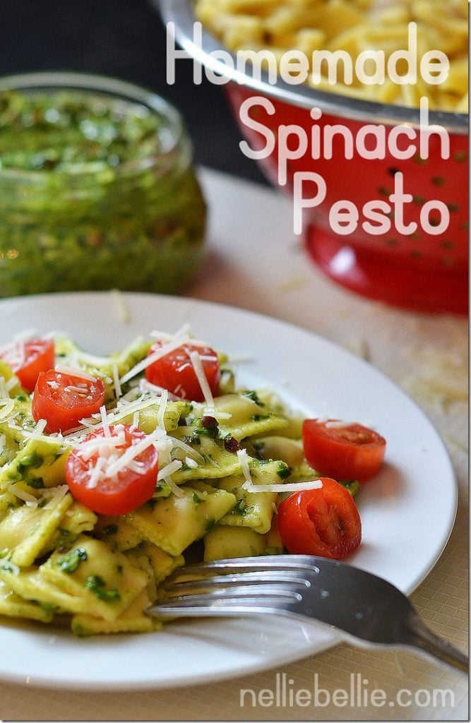 Spinach Pesto Recipe simple ingredients. fast to make. great for