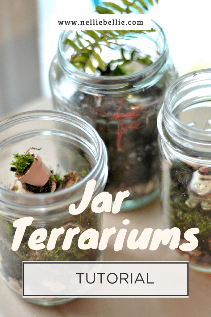 How to make a terrarium in a jar. A terrarium diy tutorial!