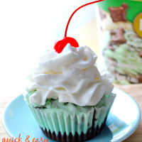 quick and easy ice cream cupcakes