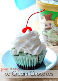 quick and easy ice cream cupcakes