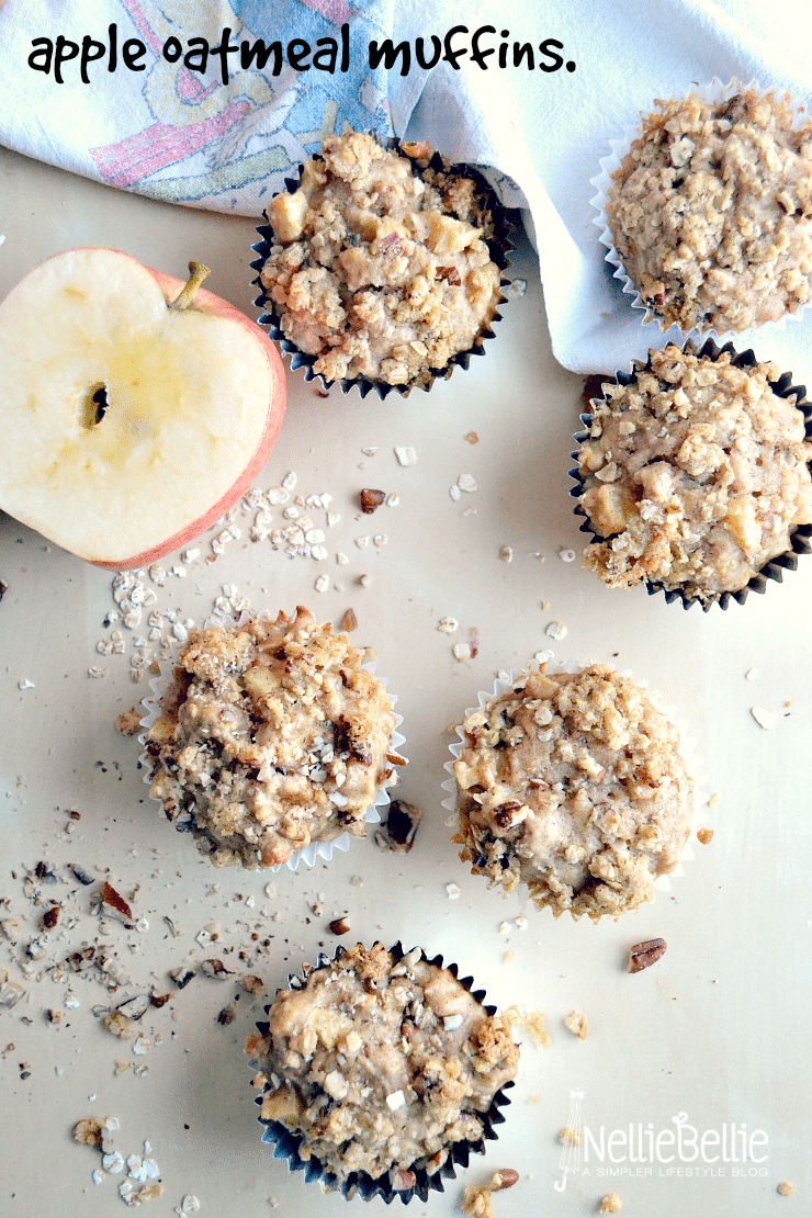 These delicious apple oatmeal muffins use fairly simple ingredients. from nelliebellie.com | 5 muffin recipes.