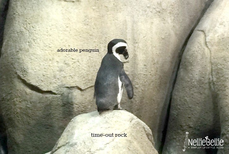 The Minnesota Zoo would be an acceptable place to forget your children, if that were ever an acceptable thing.