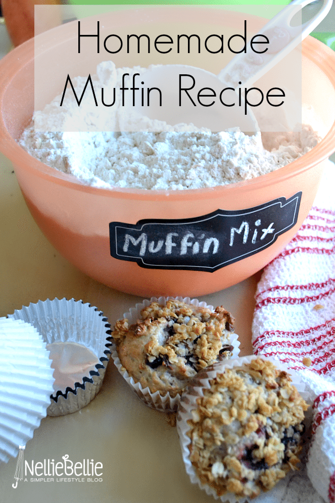 Homemade muffin mix