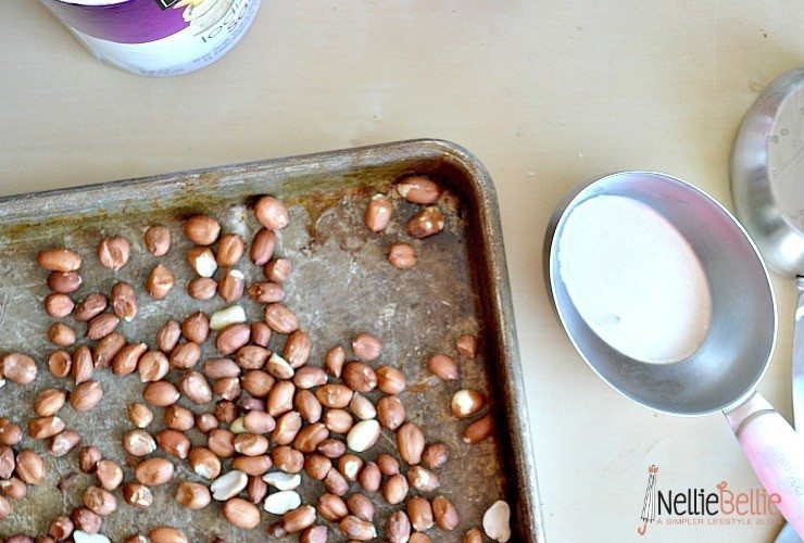 Roasting peanuts with nelliebellie.com