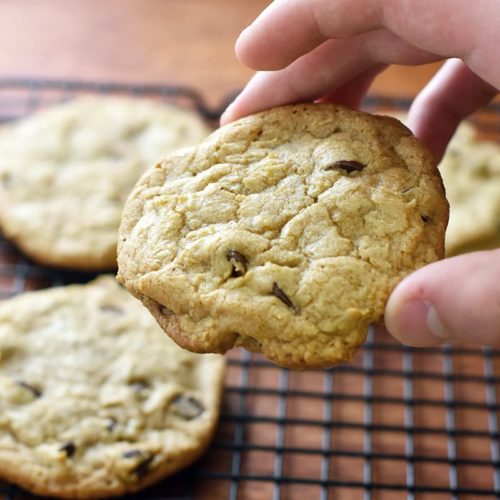 the best chocolate chip cookies!