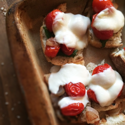 roasted tomato crostini | easy, fast appetizer | www.nelliebellie.com