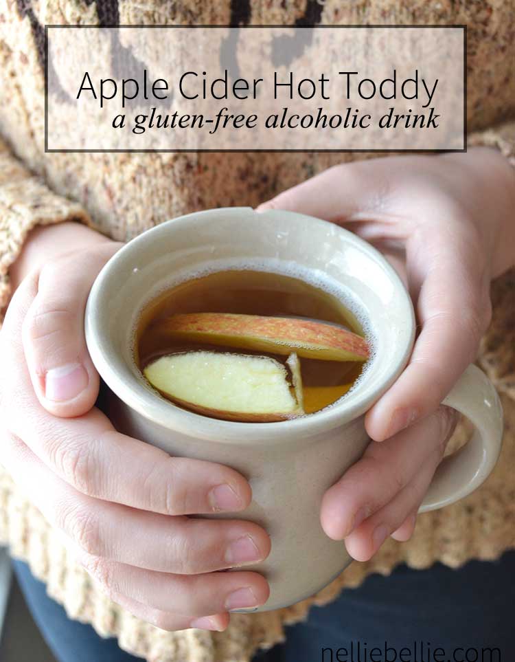 Apple Cider Hot Toddy Glutenfree recipe from NellieBellie