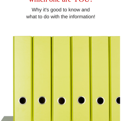 The different organization styles, how to know which one you are, and what to do with that info. From nelliebellie.com