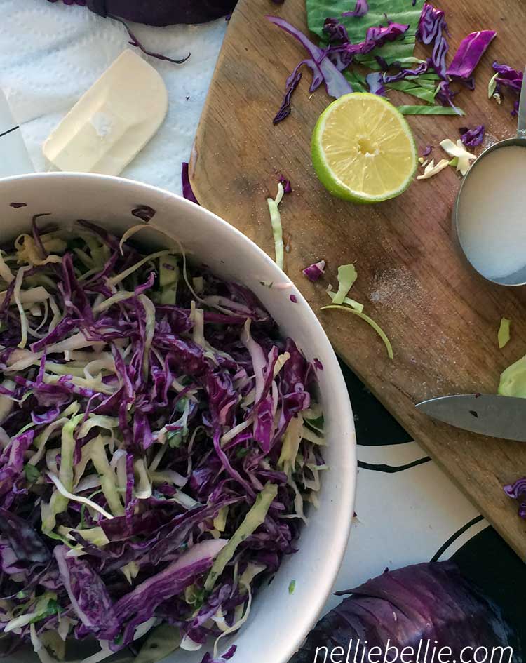 Basic Coleslaw recipe, video tutorial for making coleslaw, and a terrific recipe for Jalapeno Cilantro Colesolaw. Love that stuff on shrimp tacos!