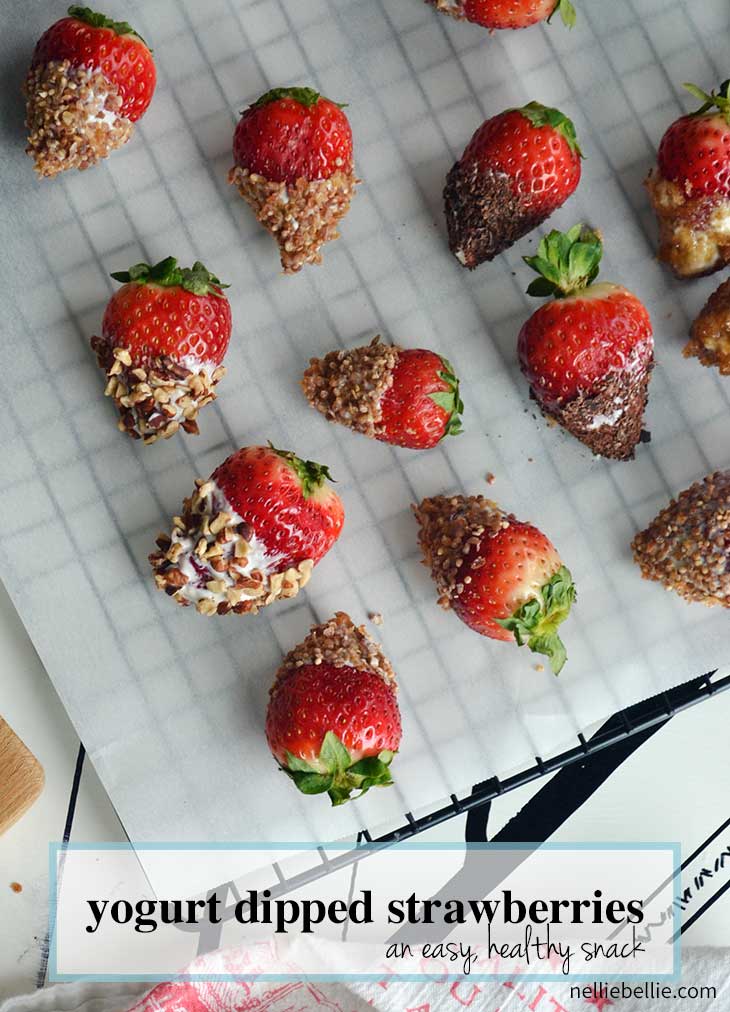 yogurt dipped strawberries