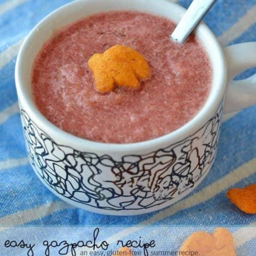 Easy Gazpacho Soup Recipe
