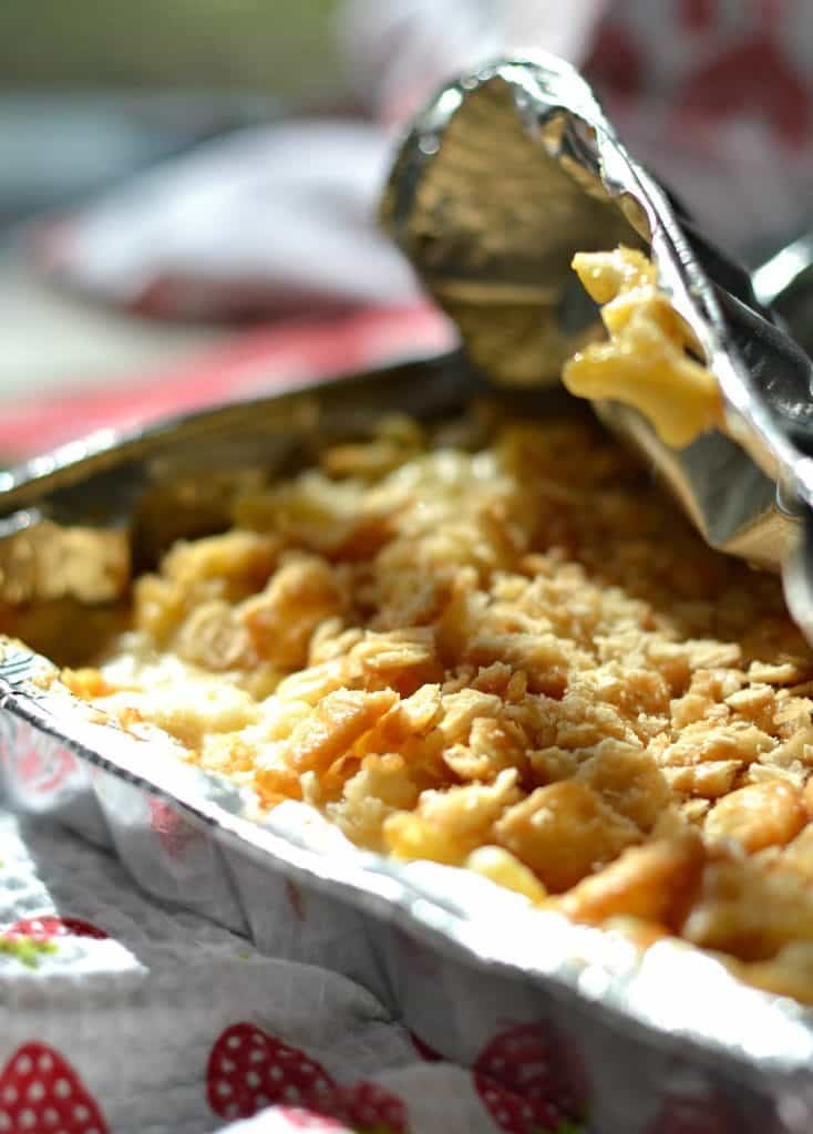 Campfire macaroni and cheese can be a pre-made meal! You can close that pan up and pop it into the fridge until it's time - a couple of days is fine. Pack it up, and take it with you. Then put it on your campfire to get melty and delicious.