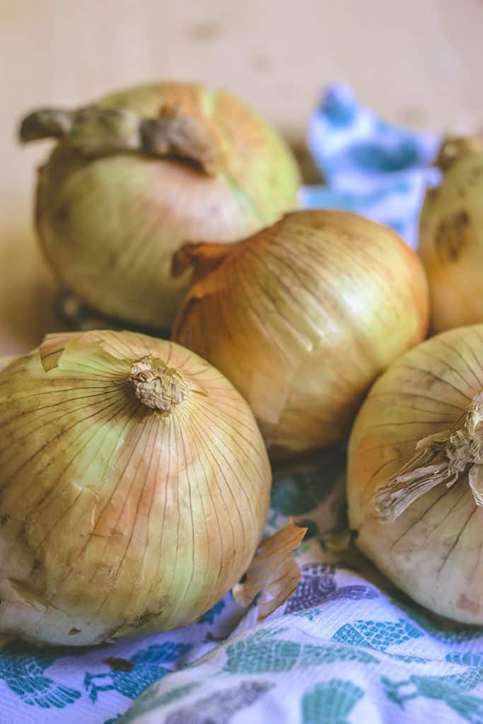 vidalia onion