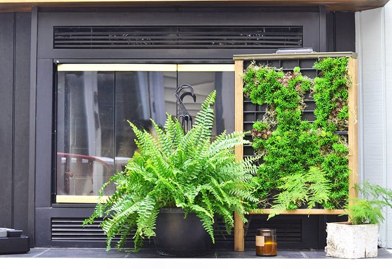 succulent-planter3-800