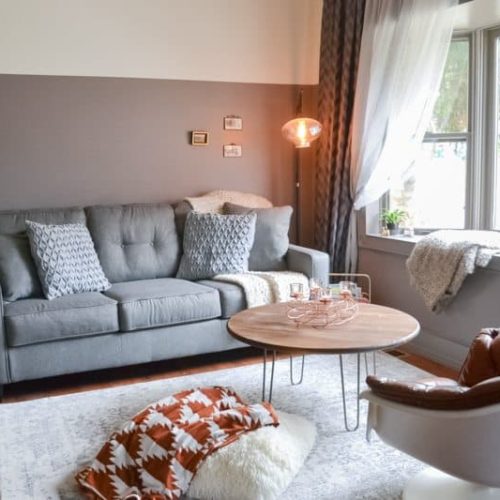 living room makeover - tiny home