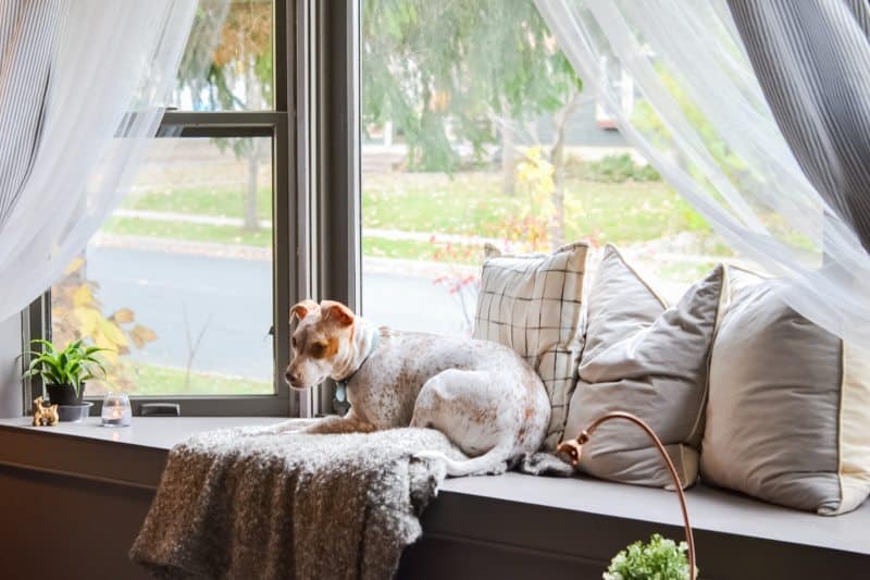 living room makeover - after photo, window seating closeup