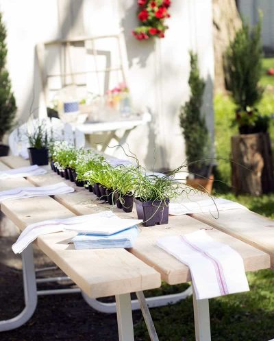 backyard pizza party