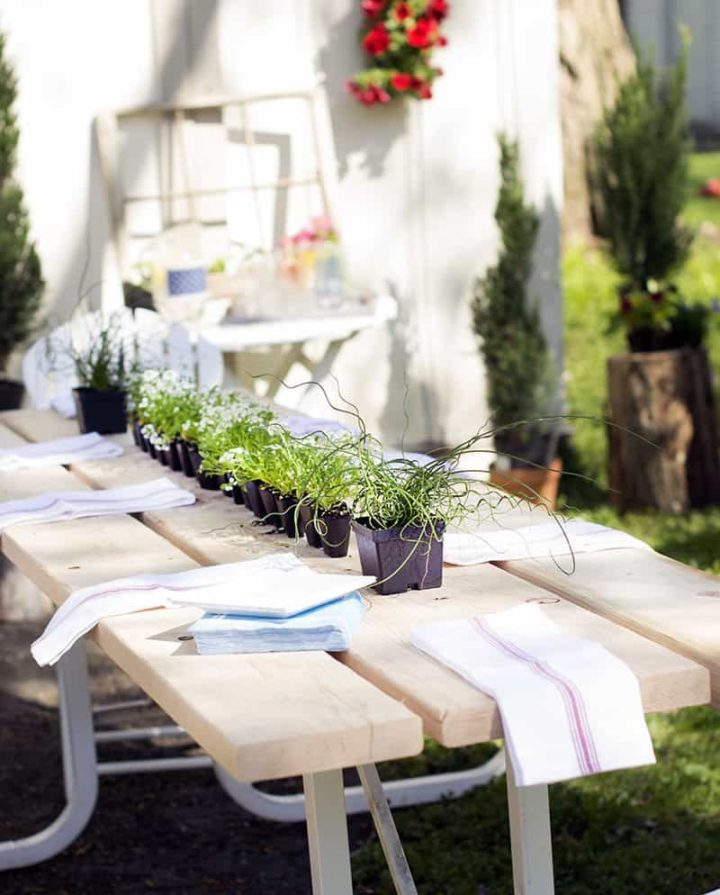 backyard pizza party