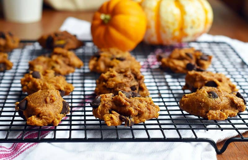 Pumpkin Chocolate Chip Cookies