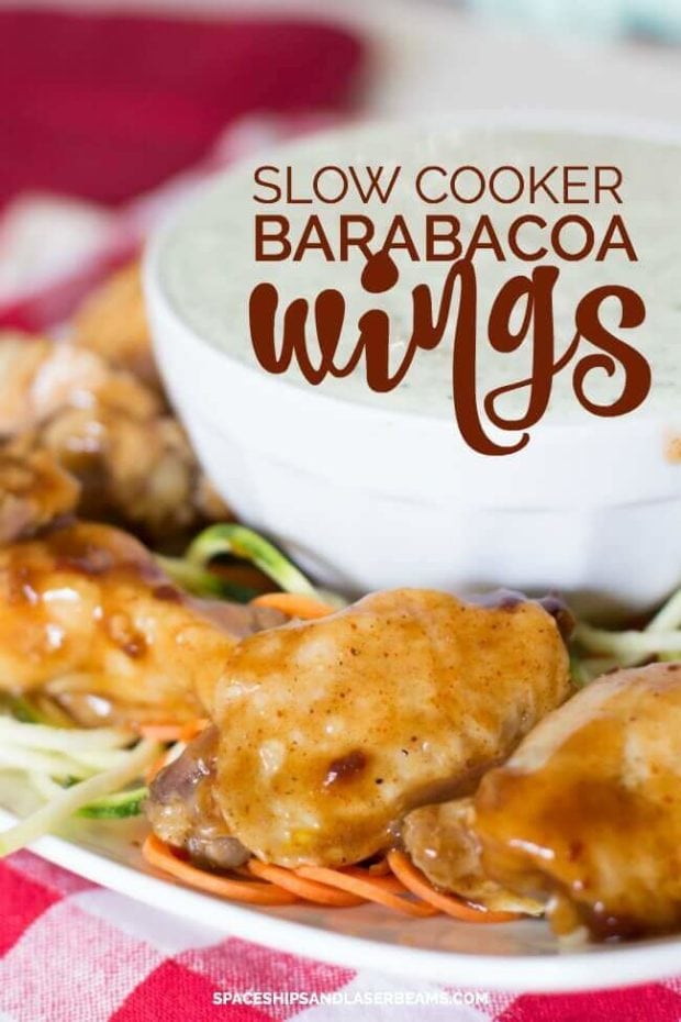 slow cooker barabacoa wings
