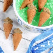 homemade Carrot Dog Treats
