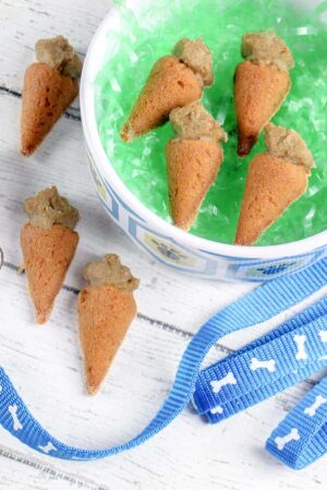 homemade Carrot Dog Treats