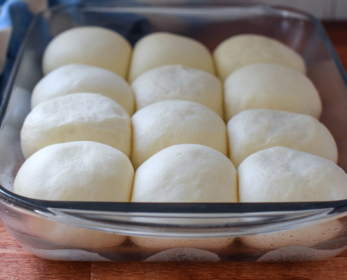 risen dinner rolls in a pan