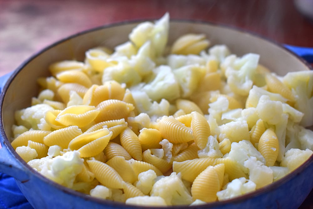 pasta and cauliflower for macaroni and cheese