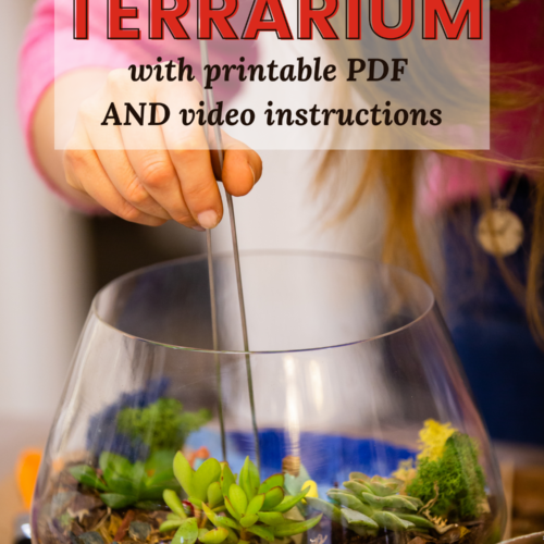 diy terrarium
