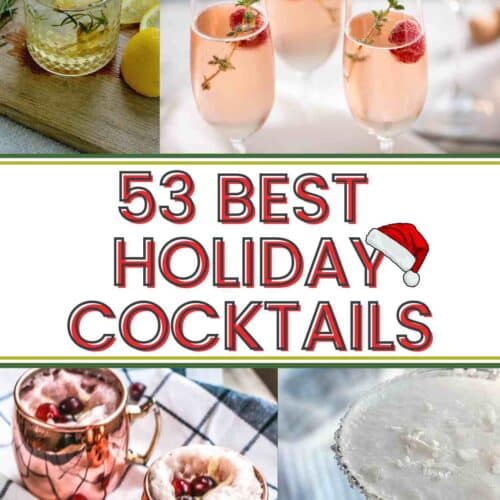 53 of the best Holiday Cocktails from around the internet