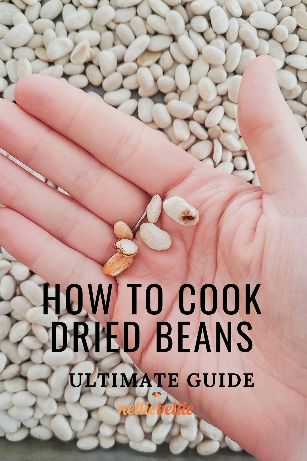 dried white beans being sorted