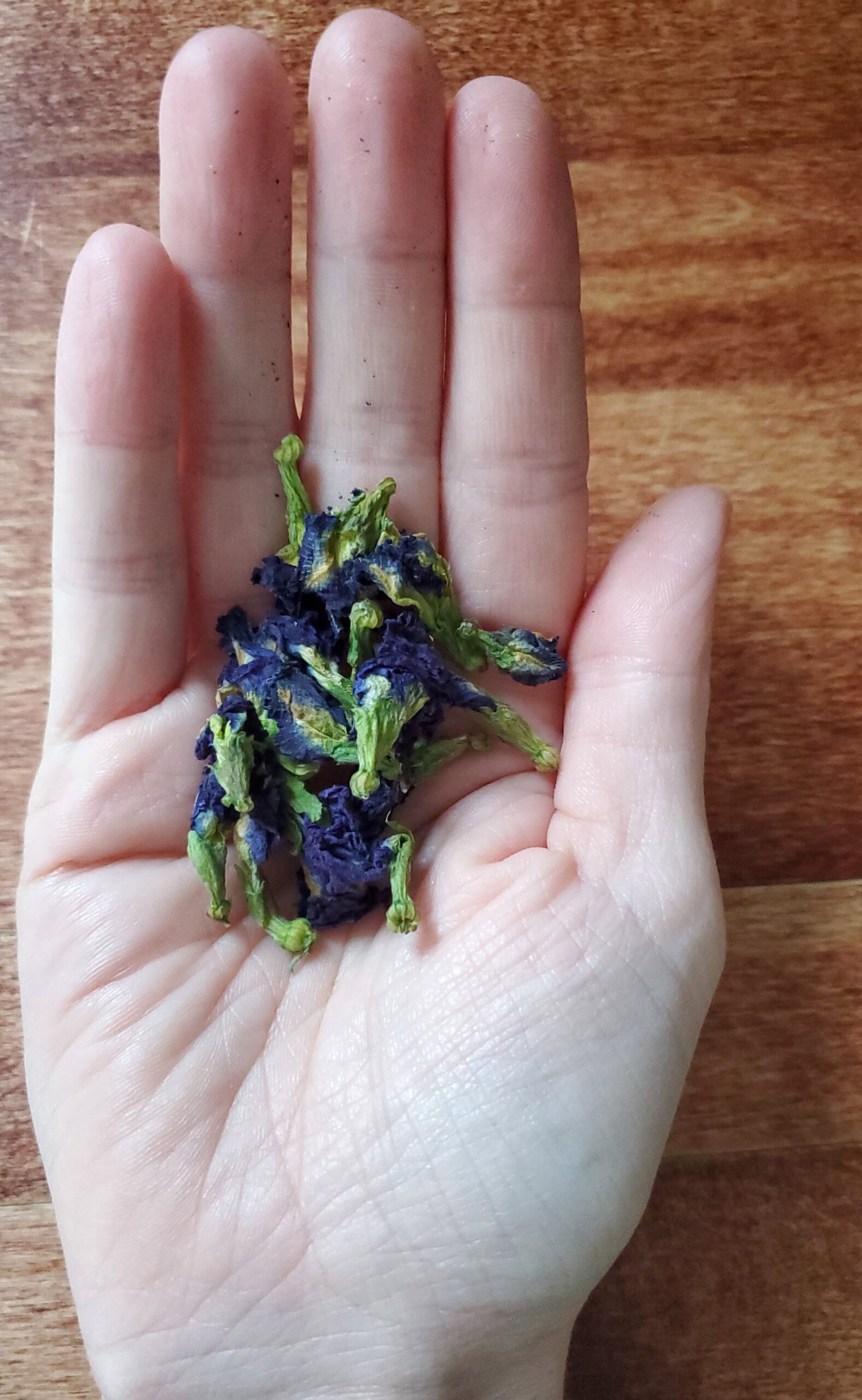 Butterfly Pea flowers