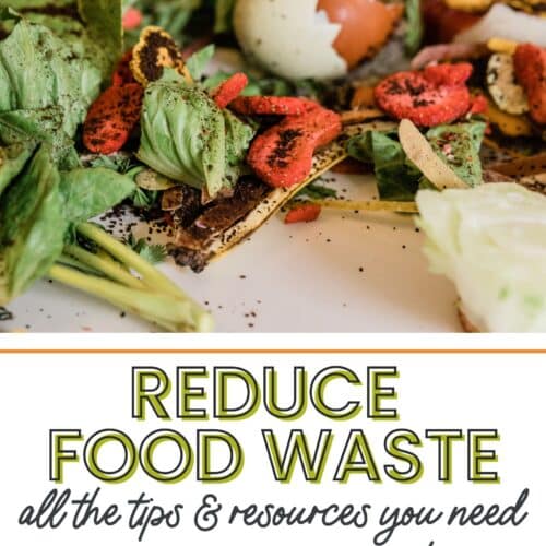reduce food waste and save money with these tips and resources
