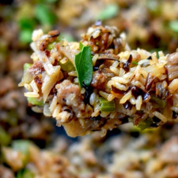 Spoonful of wild rice dressing